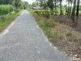 Bán 2 sào cách Tp. Tây Ninh 5Km. Có đường nhựa, chuẩn bị lên thổ cư. Giá  310Tr