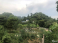 Bán gấp đất Cao Dương, Lương Sơn, Hoà Bình. 3500m2 nhà vườn, QL HCM 300m