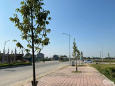 Chính chủ lô đất đô thị 725 đẹp nhất Đông Sơn giá chỉ hơn 800tr