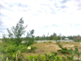 Bán đất view Biển trực diện Nam Hội An - Quảng Nam. Đường oto thông thoáng