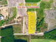 Cơ hội sở hữu đất nền vị trí đẹp Diên Tân HL 62 ngay từ hôm nay chỉ từ 377TR/NỀN