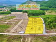 Cơ hội sở hữu đất nền vị trí đẹp Diên Tân HL 62 ngay từ hôm nay chỉ từ 377TR/NỀN