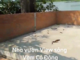 Nhà vườn view sông Vàm Cỏ Đông, 51x63, (4167m2) có 462m2 ONT, 12 tỷ 750 triệu