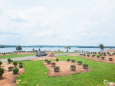 Giá chỉ 300 triệu/1000m2 đất mặt tiền nhựa View Hồ Bình Phước - sổ sẵn