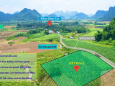 Lô đất 3770m2 giao thông thuận tiện, view núi non, khí hậu trong lành