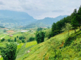 ĐẤT NỀN Y TÝ – SAPA ,PHÁP LÝ RÕ RÀNG VIEW SIÊU ĐẸP,GIÁ ĐẦU TƯ