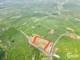 Bán 1000m2 đất Thôn 13 Xã Lộc Ngãi, Bảo Lâm, Lâm đồng