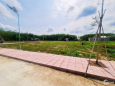 Bán đất Gò Dầu, Tây Ninh 135m2 đất thổ cư nằm gần KCN Thạnh Đức
