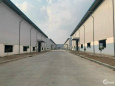 Bán hoặc Cho thuê xưởng trong KCN Sóng Thần 3 - Thủ Dầu Một, Bình Dương