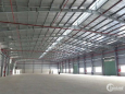 cần cho thuê nhà xưởng tại kcn thanh hoá giá rẻ diện tích từ 1000m², 2000m²...