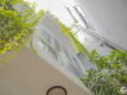 Biệt thự mini giữa lòng Saigon với phong cách trẻ trung, cây xanh, hồ cá…