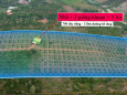 Bán đất vườn sầu riêng ĐăkNông, 5ha 130m mặt đường bê tông, QH thổ cư, giá 7,2 t