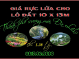 Cơ hội sở hữu lô đất 10 x 13m làng hoa Thái Phiên Thành Phố Đà Lạt
