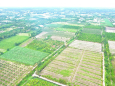 Đất view kênh nhỏ . 1000m2 đất vườn . Giá 790tr