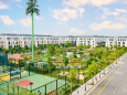 Cập nhật quỹ biệt thự giá Cắt Lỗ tại Vinhomes Ocean Park 2