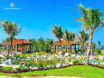 Biệt Thự Golf KN Paradise: 384m² Chỉ 26 Tỷ - Tặng Thêm 133 m² Đất Vườn