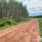 Chính chủ cần bán lô đất 9sào8 164m mặt tiền đường sỏi