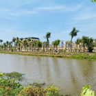 Đất ở đô thị trung tâm hành chính huyện Thủ Thừa 7x16 giá 698tr(35%) Bank hỗ trợ