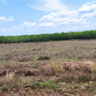 Nhu cầu bán 2 nền tổng 2 sào 5 