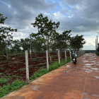 Bán gấp TCLN Láng Lớn, BRVT_13 tỷ giảm sâu 12 tỷ