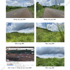 Chính chủ bán đất mặt tiền Long Giao, lộ giới 30m, hơn 1,700m2. Giá ngộp 3,6 tỷ.