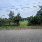 Căn hộ chung cư: 1176m2, mặt tiền đường Bùi Thị Ngọn, An Nhơn Tây, Củ Chi. Giá 6