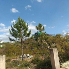 Bán đất thổ cư: Bán đất biệt thự đường ô tô View đẹp ngay thị trấn Lạc Dương Đà 