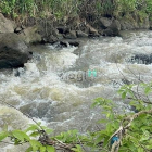 Bán nhà riêng: 1516m² đất tại Túc Trưng – Mảnh lớn, giá mềm 800 triệu