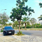 Bán nhà riêng: Mặt phố Đào Đình Luyện vỉa hè kinh doanh đối diện Vin DT 90m2 mt 