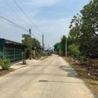 Bán nhà riêng: Chính chủ cần bán 1000m2 đất trồng xoài Thái giá rẻ