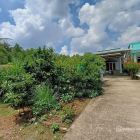 Bán biệt thự: Bán gấp nhà vườn Nhơn Trạch giá rẻ 7,2ty/1025m, thổ, oto, SR chính