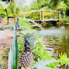 Bán biệt thự: Bán gấp nhà vườn THỔ CƯ Nhơn Trạch gần TP.HCM giá rẻ,OTO, SR CHÍNH