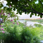 Bán biệt thự: Bán nhà ngõ 63 cổ linh, Vỉa hè oto tránh view hồ dt 50m2 mt 4.5m