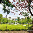 Bán biệt thự: Bán nhà 5 tầng TĐC Giang Biên, vỉa hè kinh doanh dt 60m2 mt 5m