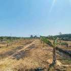 Bán đất thổ cư: Đất Bình Lợi Vĩnh CửuDiện tích : 3.779m. Lô gốc 2 Mặt Tiền