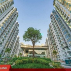 Bán căn hộ chung cư: Cần bán Shophouse 1 trệt ,1 lửng Emerald Celadon City ngay 