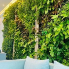 Bán căn hộ chung cư: Bán căn 2 ban công KingDom101 được thanh toán chậm 16 tháng