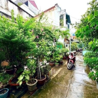 Bán nhà riêng: Bán nhà rộng (10x22) 276/91/11 Thống Nhất P16 Gò Vấp (Điện Lực CI