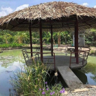 Bán đất thổ cư: Đất mặt tiền nhà vườn Đại Phước Nhơn Trạch giá rẻ,gần sông, chín