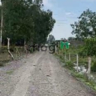 Bán đất thổ cư: BÁN GẤP đất thổ Long Tân, Phú Thạnh Nhơn Trạch sát VD3,oto,giá 3