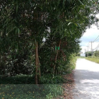 Bán đất thổ cư: Bán gấp đất xây nhà vườn Nhơn Trạch, giá rẻ 2,5tr/m, SR chính ch