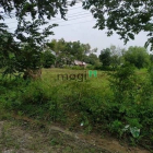 Bán đất thổ cư: Ngộp bán gấp đất nhà vườn thổ cư gần sông Phú Hữu Nhơn Trạch, 6t