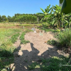 Bán đất thổ cư: Bán gấp đất thổ nhà vườn Nhơn Trạch giá rẻ 2,8tr/m.MT đường nhựa