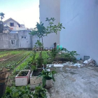 Bán đất thổ cư: Bán 40m Đất Thạch Bàn Gần Chợ Trường Học Ngõ ô tô 5 Chỗ Ra Vào 2