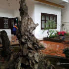 Bán đất thổ cư: Bán đất xây Căn hộ dịch vụ, nhà vườn Trung tâm quận Hai Bà Trưng