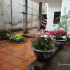 Bán đất thổ cư: Bán đất vài trăm mét ra ngã tư Lò Đúc- Kim Ngưu- Trần Khát Chân