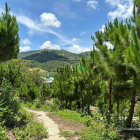 Bán đất thổ cư: 6000m² đất QH thổ cư mặt tiền B'Lao Xê Rê, view 360, khu dân cư