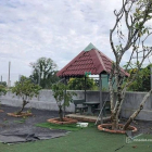 Bán đất thổ cư: Bán mảnh vườn 325 m2 gần chợ Thiện Tân  ngang 15 x dài 22 thổ cư