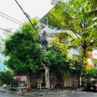 Nhà phố:  Sang Quán Trần Văn Giàu Góc 2 Mặt Tiền, 75 triệu