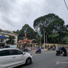 Nhà phố: Cho thuê nhà mặt tiền số 19 đường Hoàng Minh Giám, Phường 9, Phú Nhuận